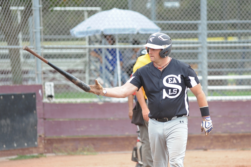 Seals_2019-09-22 (369).JPG - (c)2010 DeVetter